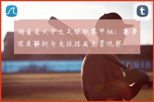 湖南省大学生足球联赛甲组：赛事深度解析与竞技格局全景观察
