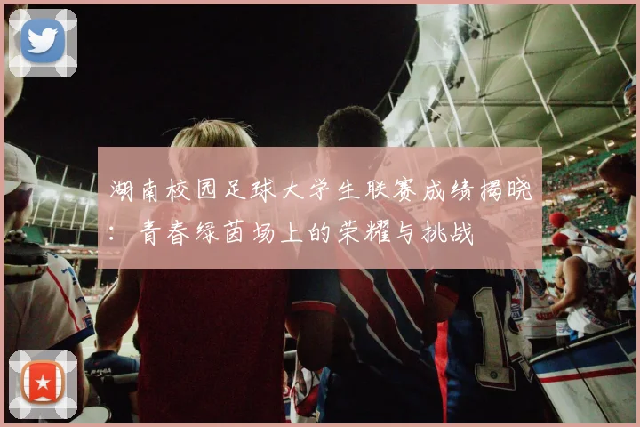 湖南校园足球大学生联赛成绩揭晓：青春绿茵场上的荣耀与挑战