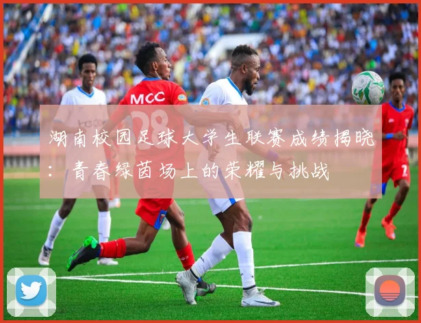 湖南校园足球大学生联赛成绩揭晓：青春绿茵场上的荣耀与挑战